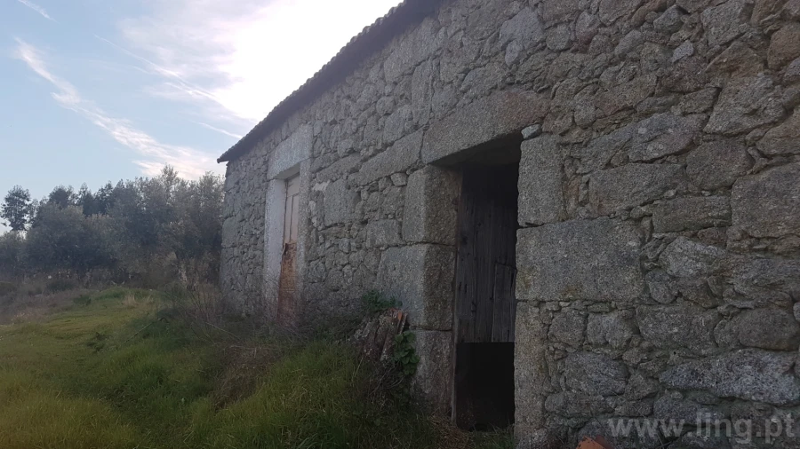 Quinta T0 para Venda em Castelo Branco Foto 6