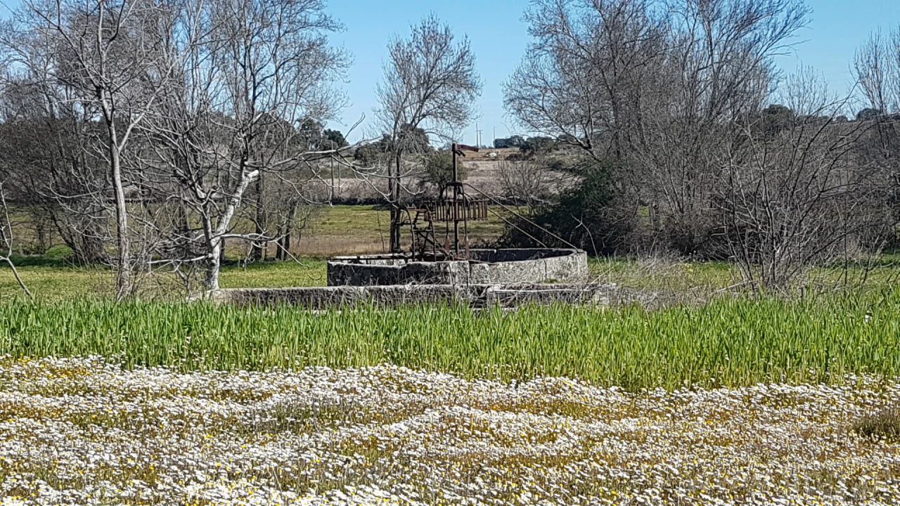 Quinta T0 para Venda em Castelo Branco Foto 1