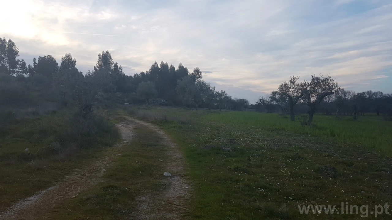 Quinta T0 para Venda em Castelo Branco Foto 7
