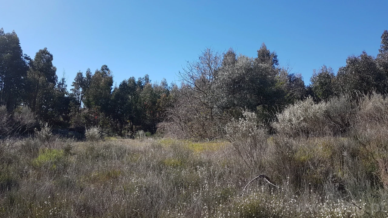 Quinta T0 para Venda em Castelo Branco Foto 11