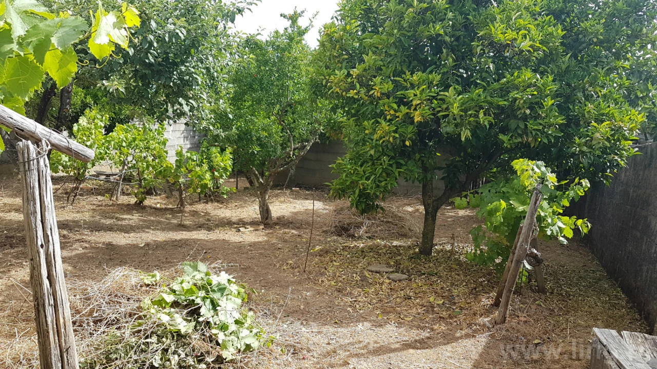 Moradia T5 para Venda em Monforte da Beira Foto 5