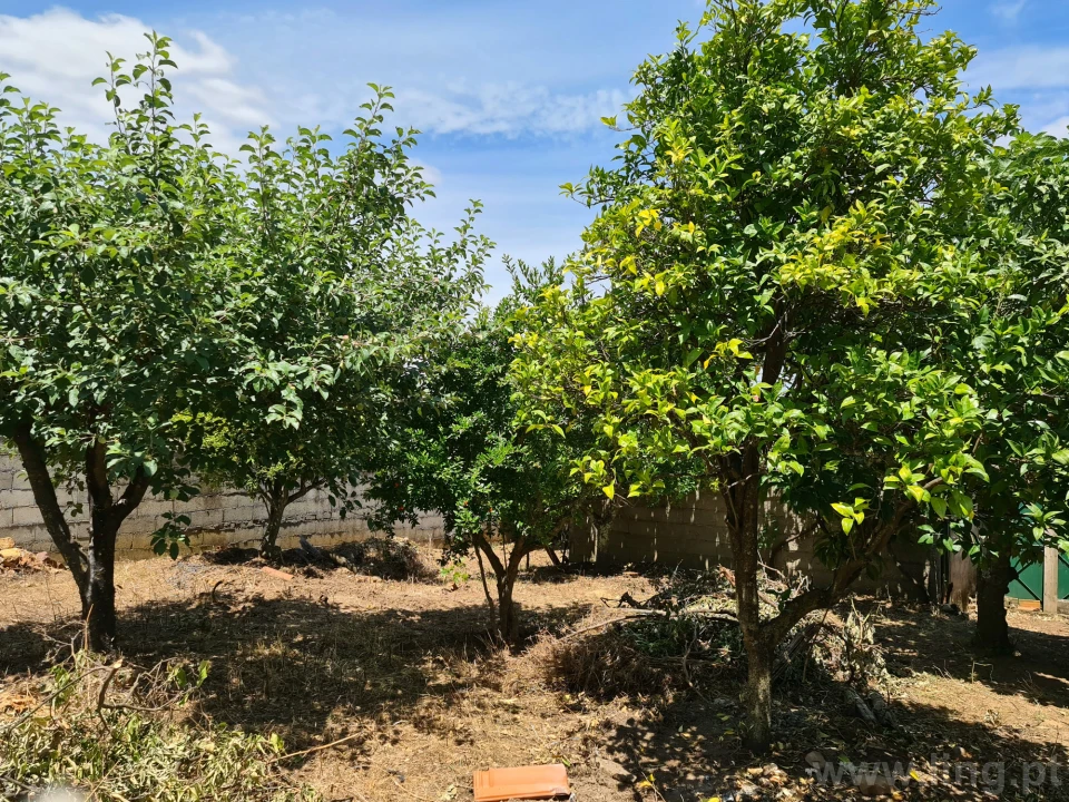 Moradia T5 para Venda em Monforte da Beira Foto 20