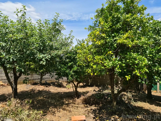 Moradia T5 para Venda em Monforte da Beira Foto 20