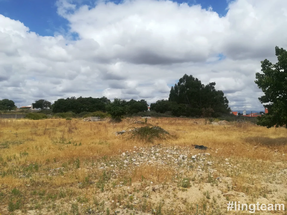 Terreno para Venda em Alcains Foto 1