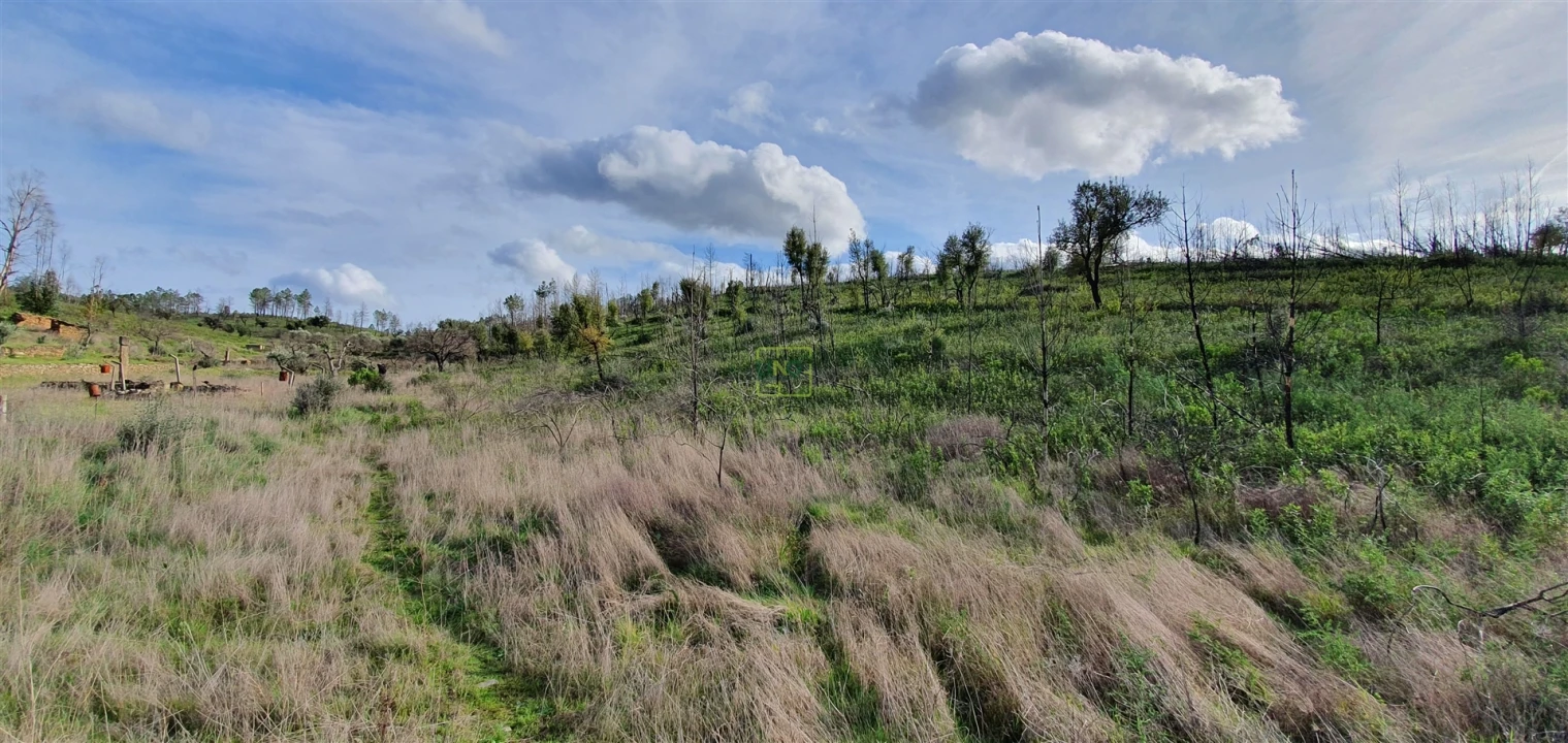 Quinta T0 para Venda em Freixial e Juncal do Campo Foto 14