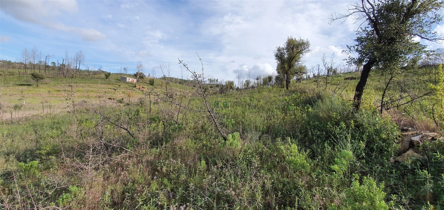 Quinta T0 para Venda em Freixial e Juncal do Campo Foto 11