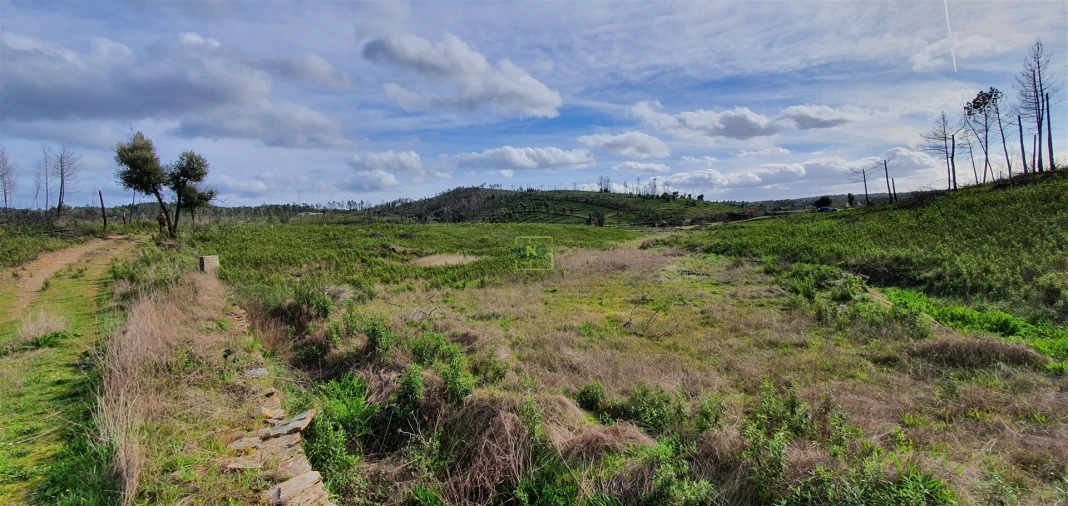Quinta T0 para Venda em Freixial e Juncal do Campo Foto 4