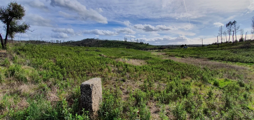 Quinta T0 para Venda em Freixial e Juncal do Campo Foto 5