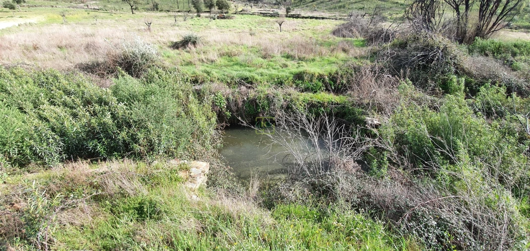 Quinta T0 para Venda em Freixial e Juncal do Campo Foto 8