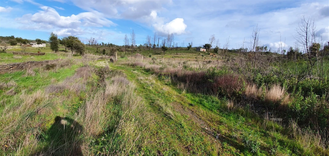 Quinta T0 para Venda em Freixial e Juncal do Campo Foto 16