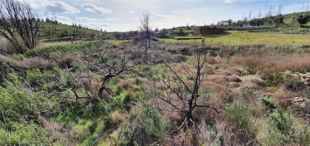 Quinta T0 para Venda em Freixial e Juncal do Campo Foto 9