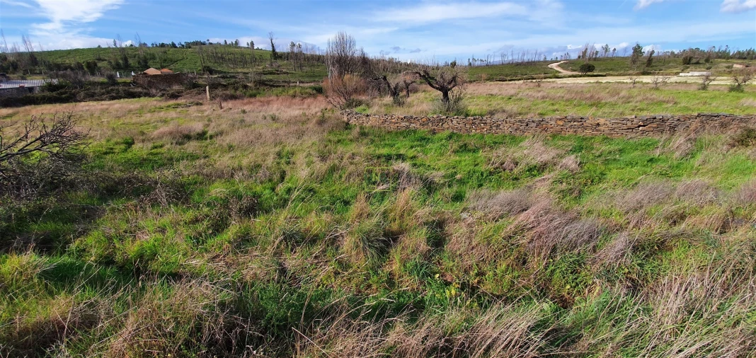Quinta T0 para Venda em Freixial e Juncal do Campo Foto 15