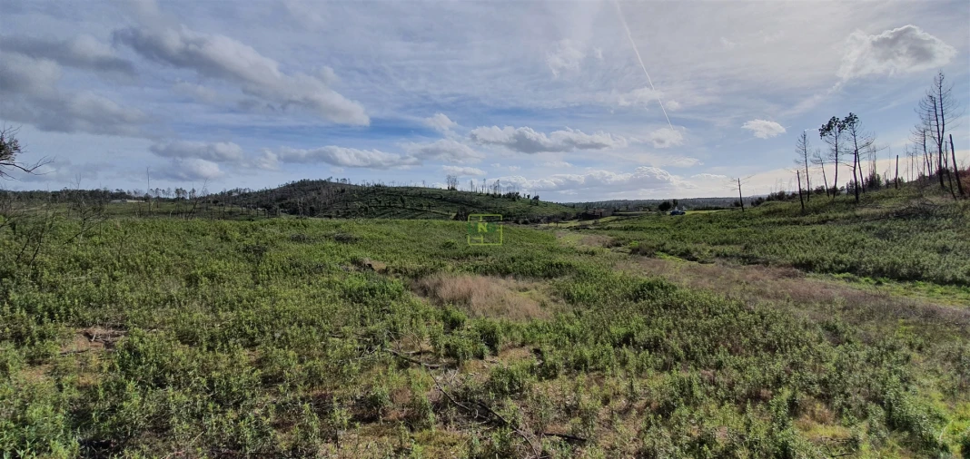 Quinta T0 para Venda em Freixial e Juncal do Campo Foto 6