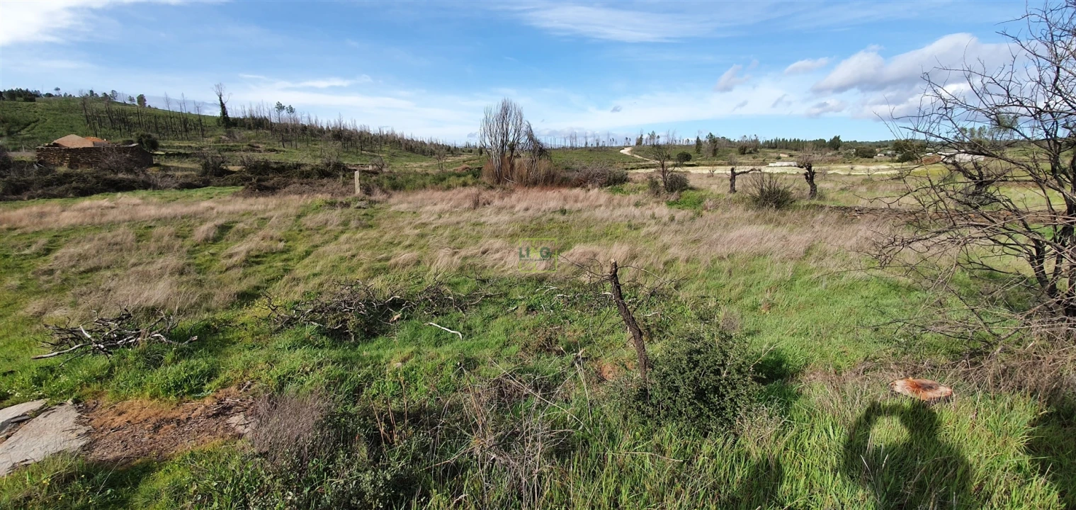 Quinta T0 para Venda em Freixial e Juncal do Campo Foto 10