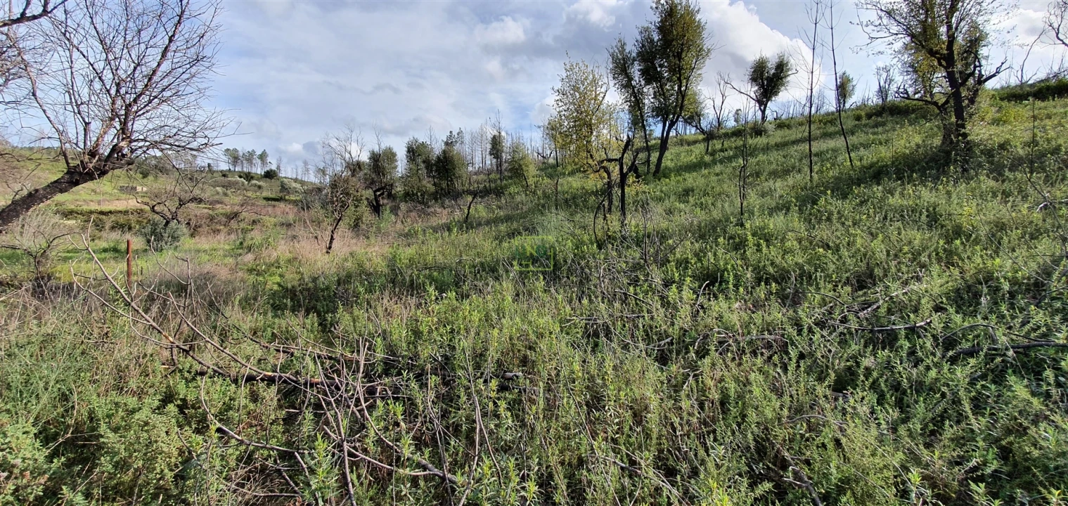 Quinta T0 para Venda em Freixial e Juncal do Campo Foto 12
