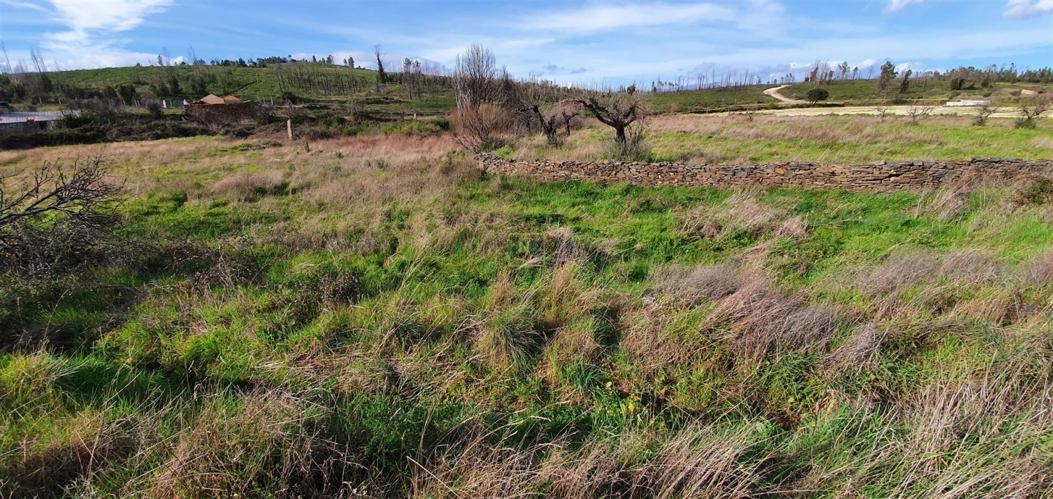 Quinta T0 para Venda em Freixial e Juncal do Campo Foto 15