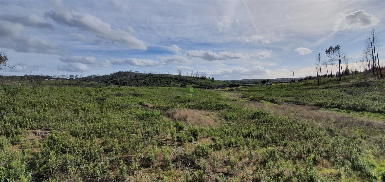 Quinta T0 para Venda em Freixial e Juncal do Campo Foto 6