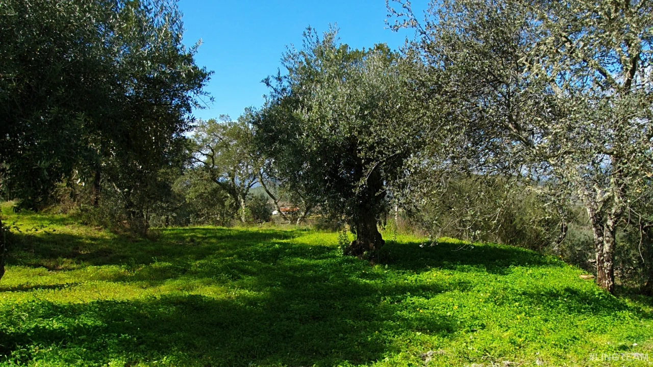 Quinta T0 para Venda em Freixial e Juncal do Campo Foto 17