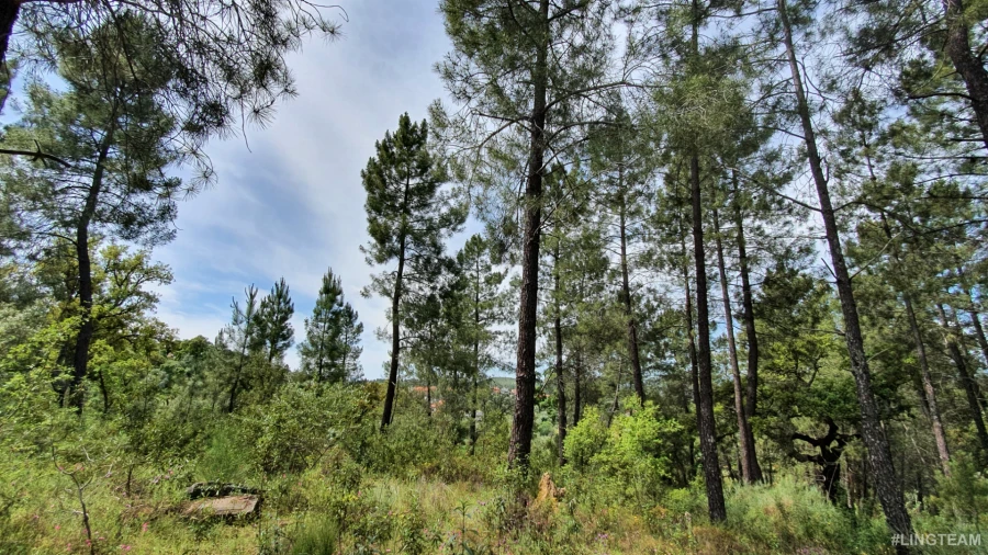 Quinta T0 para Venda em Freixial e Juncal do Campo Foto 10