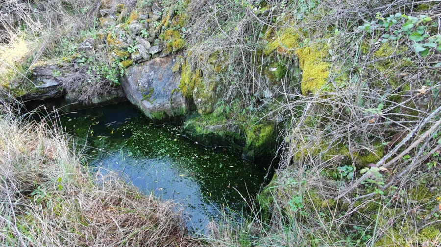 Quinta T0 para Venda em Freixial e Juncal do Campo Foto 9