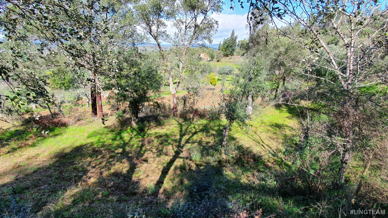 Quinta T0 para Venda em Freixial e Juncal do Campo Foto 15