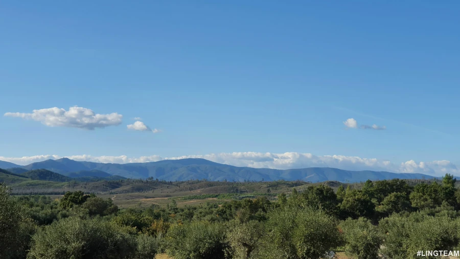 Quinta T0 para Venda em Freixial e Juncal do Campo