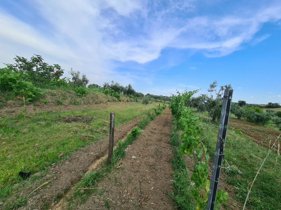 Quinta T0 para Venda em Ladoeiro Foto 23