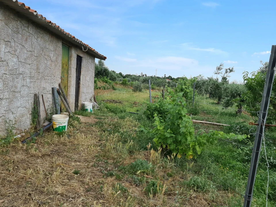 Quinta T0 para Venda em Ladoeiro Foto 18