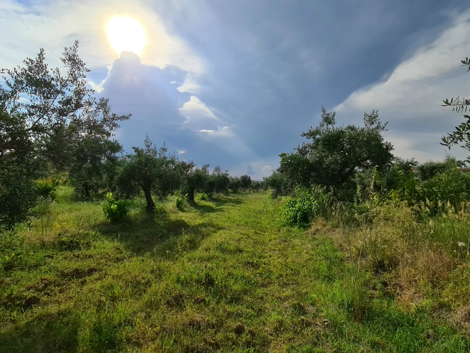 Quinta T0 para Venda em Ladoeiro Foto 12