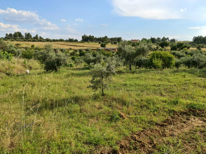 Quinta T0 para Venda em Ladoeiro Foto 8