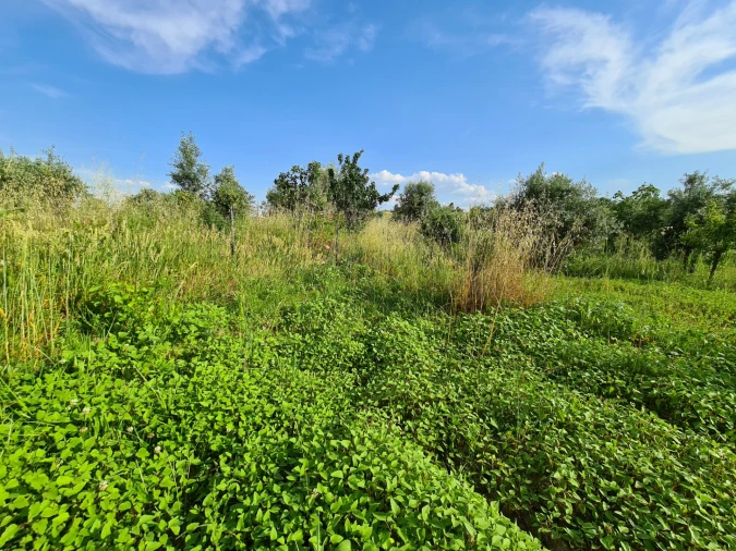 Quinta T0 para Venda em Ladoeiro Foto 11