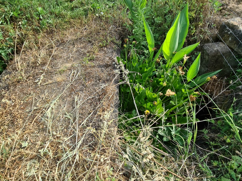 Quinta T0 para Venda em Ladoeiro Foto 14