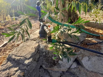 Quinta T1 para Venda em Póvoa de Rio de Moinhos e Cafede