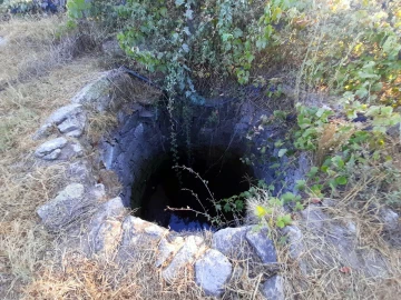Quinta T1 para Venda em Póvoa de Rio de Moinhos e Cafede