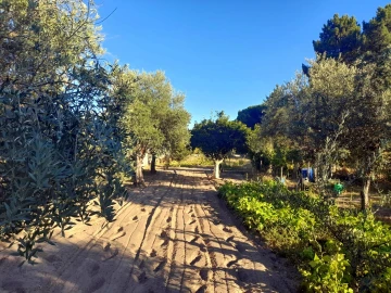 Quinta T1 para Venda em Póvoa de Rio de Moinhos e Cafede