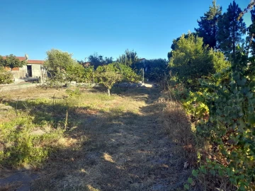 Quinta T1 para Venda em Póvoa de Rio de Moinhos e Cafede