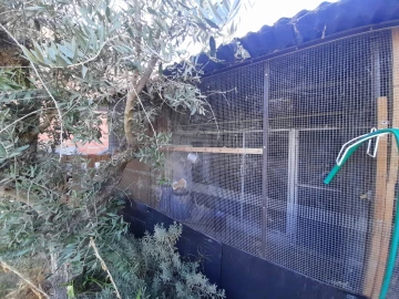 Quinta T1 para Venda em Póvoa de Rio de Moinhos e Cafede