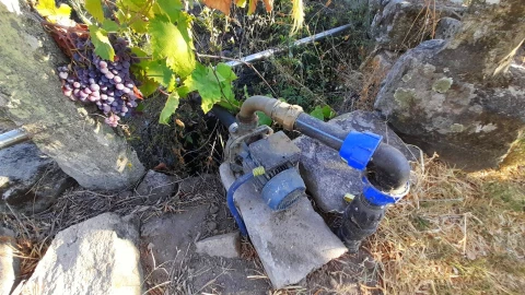Quinta T1 para Venda em Póvoa de Rio de Moinhos e Cafede