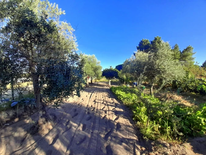 Quinta T1 para Venda em Póvoa de Rio de Moinhos e Cafede Foto 26