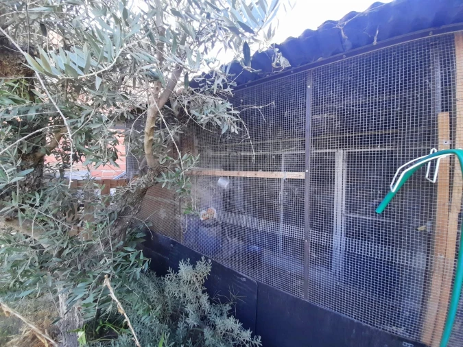 Quinta T1 para Venda em Póvoa de Rio de Moinhos e Cafede Foto 33