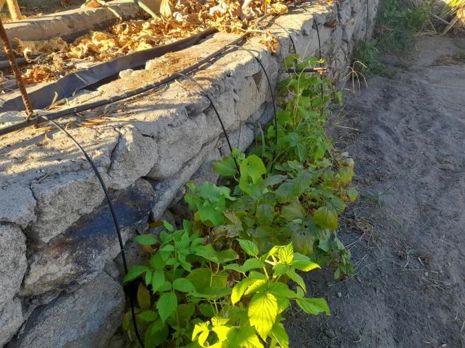 Quinta T1 para Venda em Póvoa de Rio de Moinhos e Cafede Foto 27