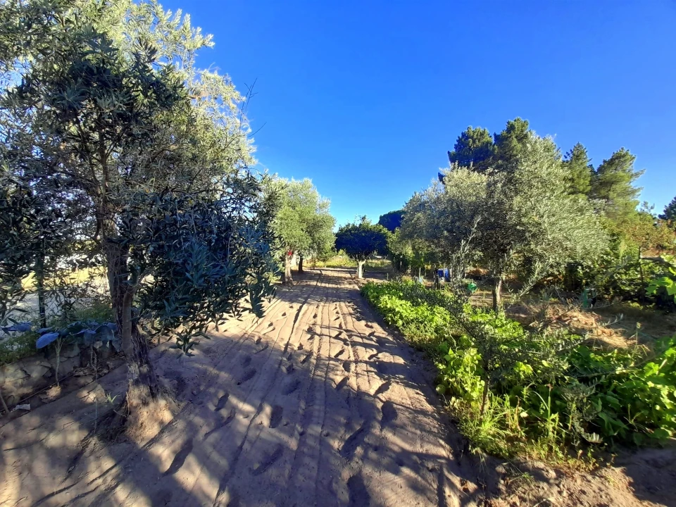 Quinta T1 para Venda em Póvoa de Rio de Moinhos e Cafede Foto 26
