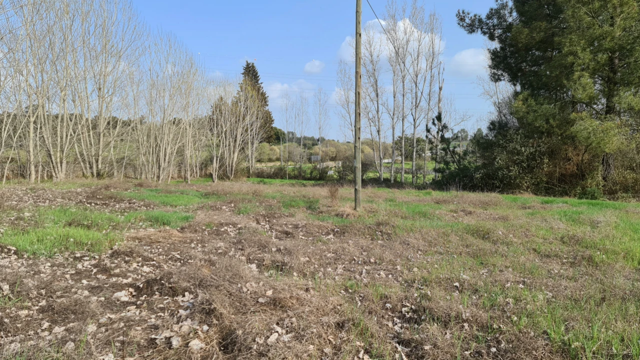 Quinta T0 para Venda em Alcains Foto 13