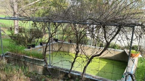Quinta T0 para Venda em Alcains