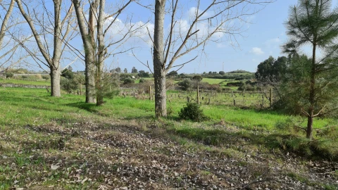 Quinta T0 para Venda em Alcains