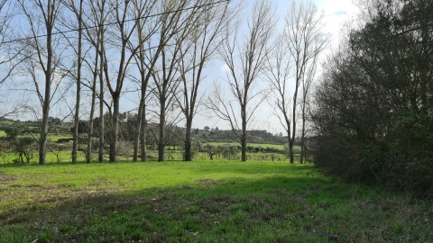 Quinta T0 para Venda em Alcains