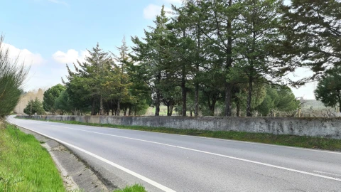 Quinta T0 para Venda em Alcains
