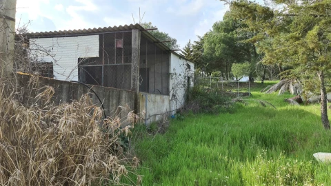 Quinta T0 para Venda em Alcains