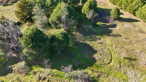 Quinta T0 para Venda em Alcains