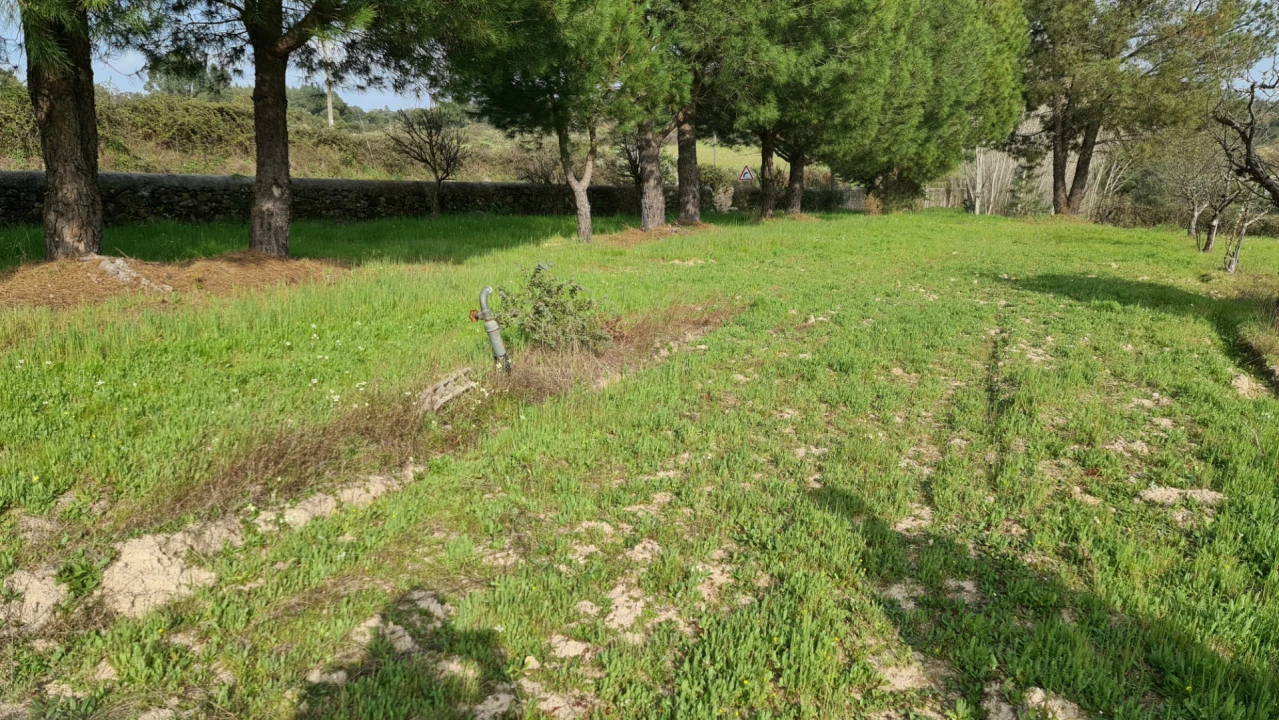 Quinta T0 para Venda em Alcains Foto 5